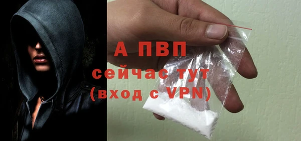 apvp Верея