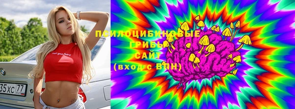apvp Верея