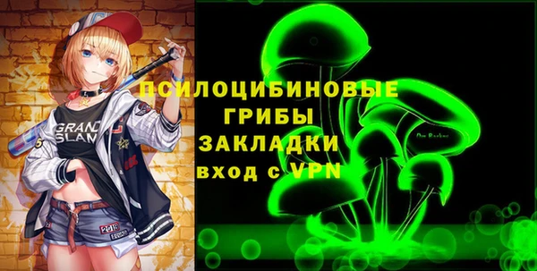 apvp Верея