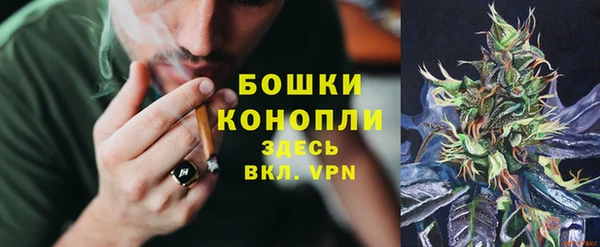 apvp Верея